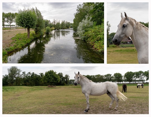 Medium property photo - Malledijk 12, 3208 LA Spijkenisse